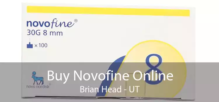 Buy Novofine Online Brian Head - UT